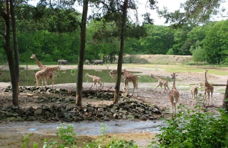 Burgers’ Zoo